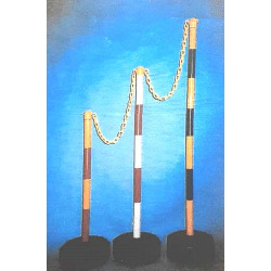 Color marker poles