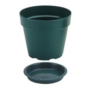 Flower Pot